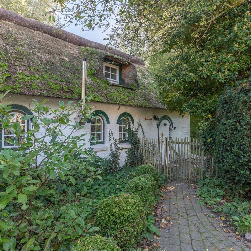 Ferielejlighed - 2 personer -  - Lagedeich - 25876 - Wisch