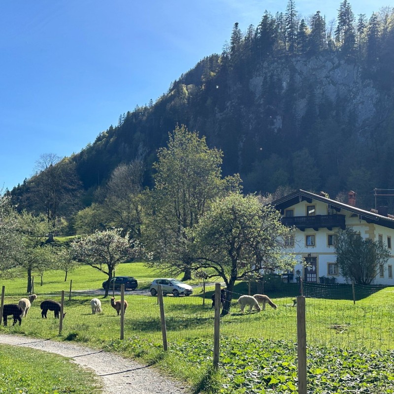 Ferielejlighed - 4 personer -  - Einfang - 83229 - Aschau Im Chiemgau