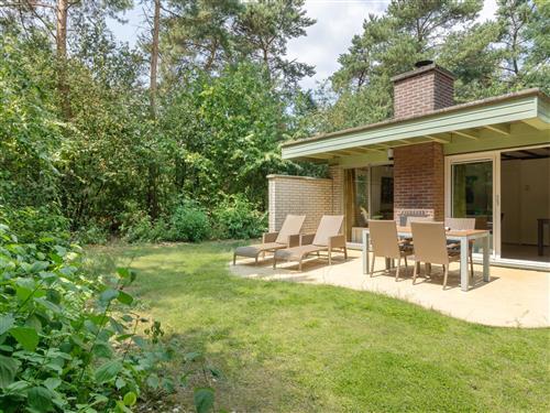 Feriehus / leilighet - 4 personer -  - America - 5966 PJ