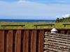 Bild 36 - Aussicht