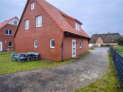 Holiday apartment - 2 persons -  - 25826 - Sankt Peter-Ording