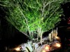 Image 39 - Outside