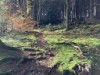 Bild 48 - Aussen