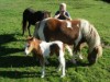 Bilde 3