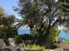 Image 13 - Outside