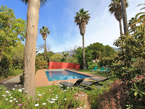 Fritidshus - 7 personer -  - Camino Cruz Chica - 38760 - Llanos De Aridane