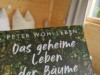 Bild 23