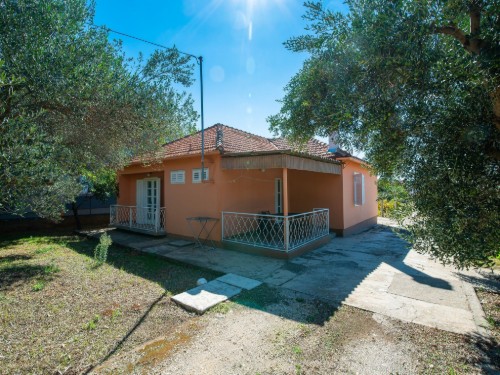 Holiday apartment - 4 persons -  - Petra Krešimira IV - 23205 - Bibinje