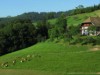 Billede 1
