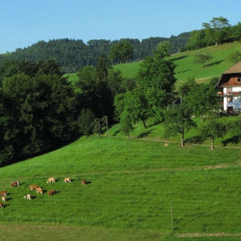 Sommerhus - 6 personer -  - 77736 - Zell A.H.