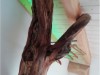 Bild 17