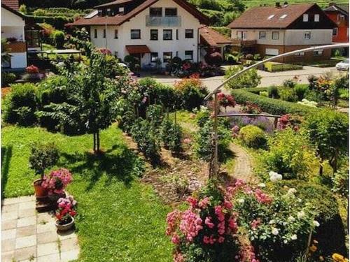 Sommerhus - 4 personer -  - 79235 - Vogtsburg-Oberbergen