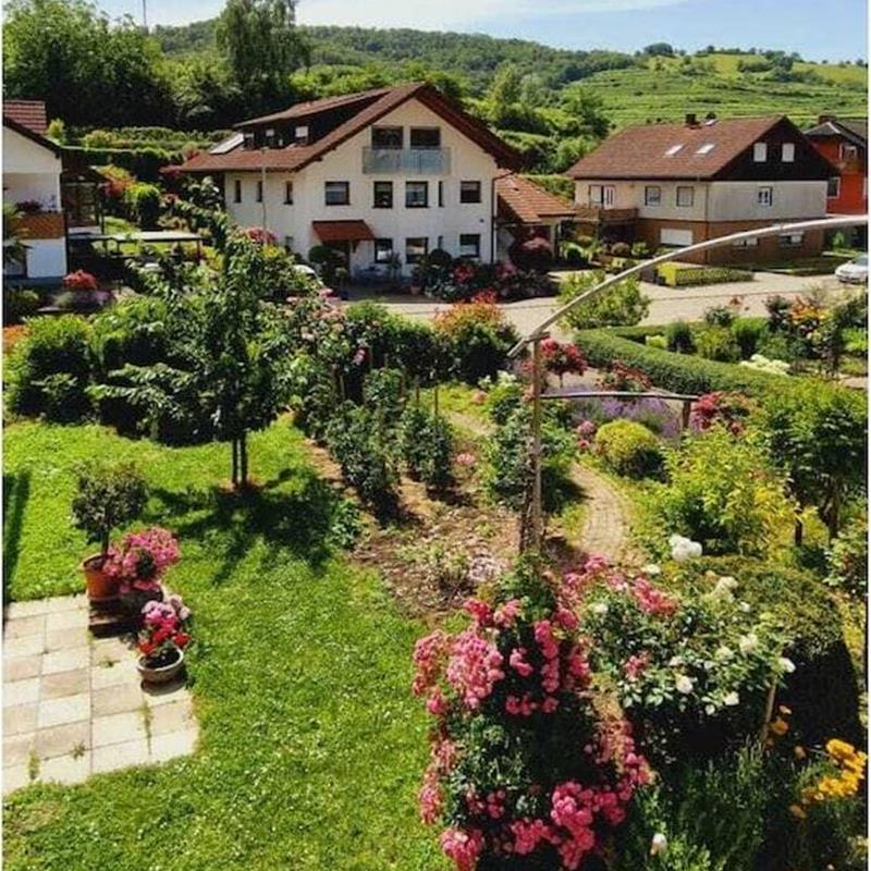 Sommerhus - 4 personer -  - 79235 - Vogtsburg-Oberbergen