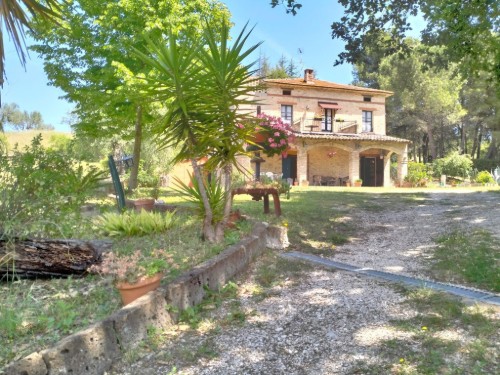 Holiday apartment - 5 persons -  - 64011 - Alba Adriatica