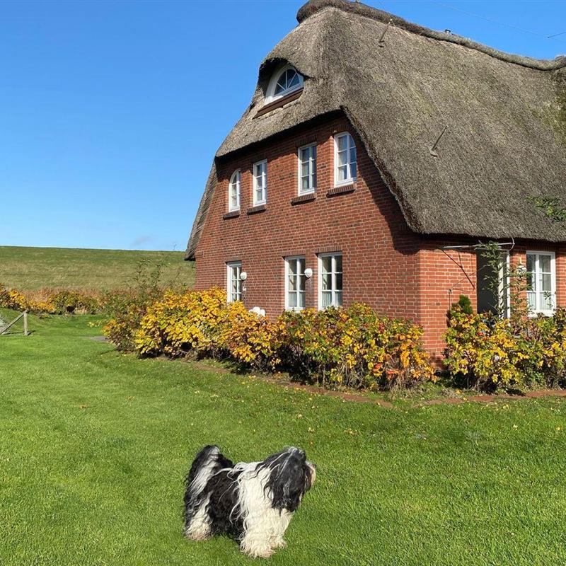 Ferielejlighed - 6 personer -  - Uthlandeweg - 25845 - Nordstrand