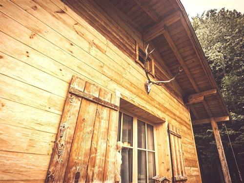 Sommerhus - 6 personer -  - Nocksteinstraße - 5321 - Koppl