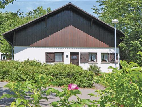 Holiday home - 4 persons -  - Kiefernweg - 54424 - Thalfang