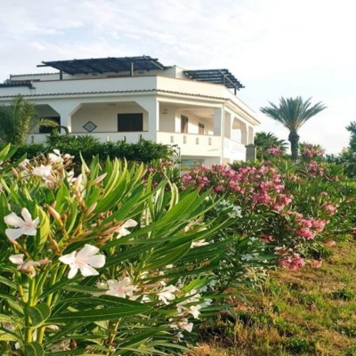 Billede 4