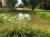 Bild 36 - Ude