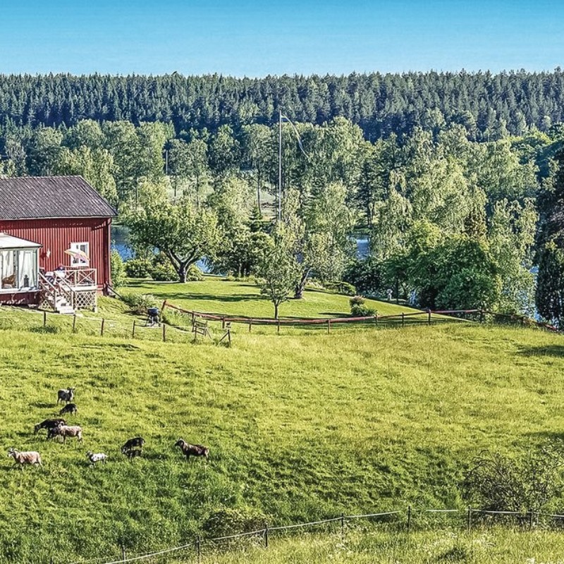 Sommerhus - 7 personer -  - Pungsund Gällringesund - 646 96 - Stjärnhov