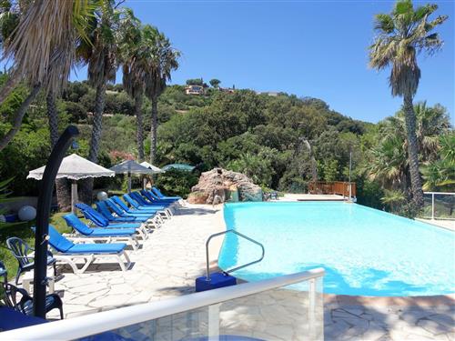 Sommerhus - 4 personer -  - Pinarellu - 20144