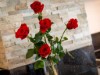 Bilde 8