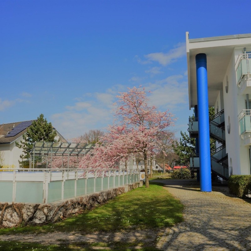 Ferielejlighed - 4 personer -  - Seestraße - 18374 - Ostseeheilbad Zingst
