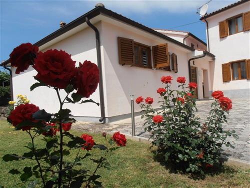 Holiday apartment - 2 persons -  - Porec/Funtana - 52452