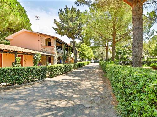 Ferienhaus - 4 Personen -  - Viale della Liberta' - 87020 - Sangineto