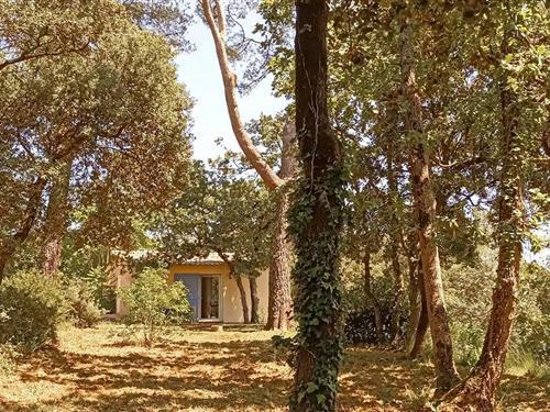 Ferienhaus - 3 Personen -  - Impasse Vau de Marie - 83890 - Besse Sur Issole