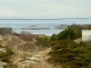 Bild 37