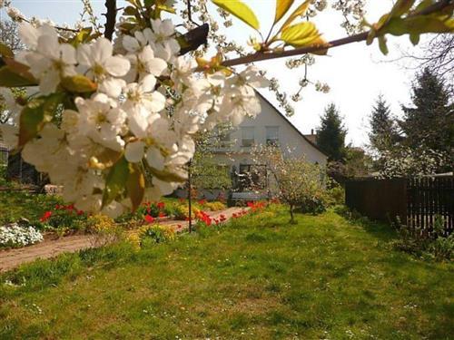 Ferielejlighed - 5 personer -  - August-Bebel-Str. - 18586 - Sellin (Ostseebad)