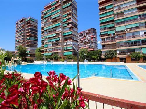 Sommerhus - 4 personer -  - 03540 - Alicante / Alacant