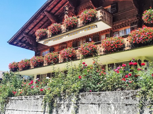 Ferieleilighet - 2 personer -  - 3818 - Grindelwald