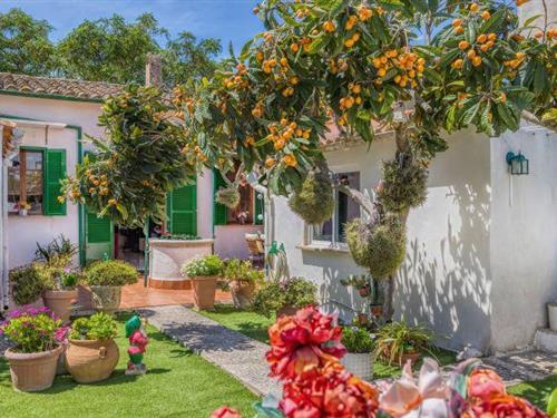 Sommerhus - 4 personer -  - 07011 - Palma