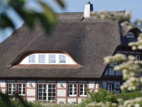 Holiday home - 8 persons -  - 18556 - Lancken\/Wittow