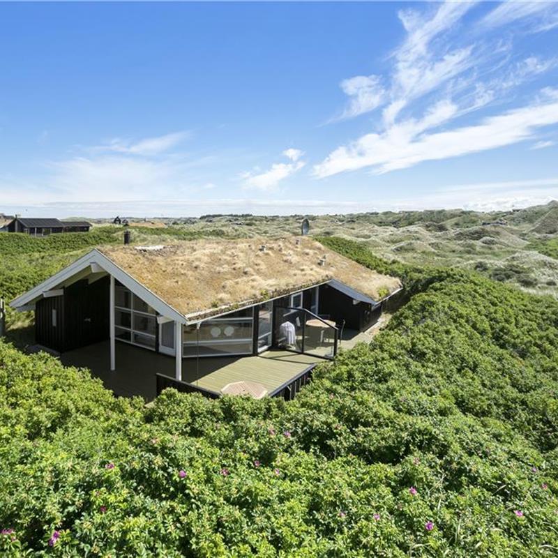 Ferienhaus - 6 Personen -  - Taarnfalkevej - 9492 - Blokhus