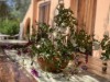 Image 29 - Outside