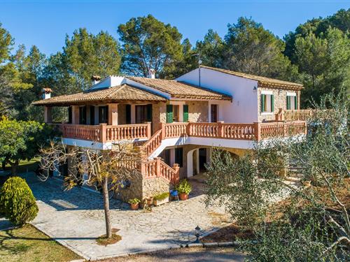 Sommerhus - 12 personer -  - Diseminado Disseminats Poligon - Es Costeret De Son Grau, Alaro - 07340 - Alaro