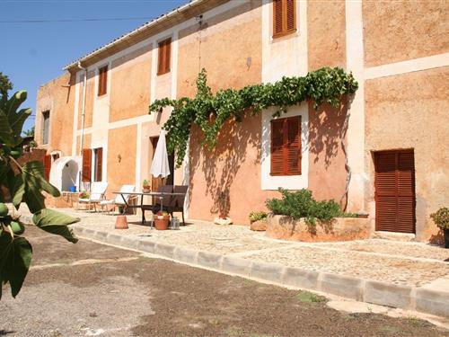 Holiday Home/Apartment - 4 persons -  - Cami des Comptes s/n - 07669 - Santanyi