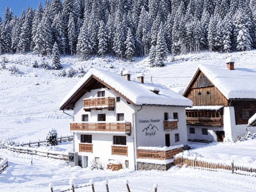 Sommerhus - 10 personer -  - 9822 - Mallnitz