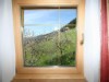 Bilde 23 - Inne