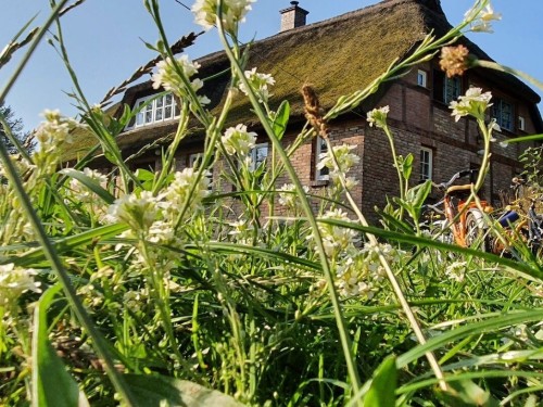 Ferienhaus - 4 Personen -  - 18528 - Schmacht Ot Zirkow