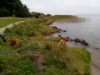 Billede 29 - Udsigt over vand