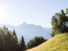 Bild 17