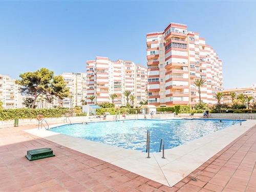 Ferieleilighet - 4 personer -  - Avenida García Peñalver Nº - Torrox - 29770 - Torrox-Costa