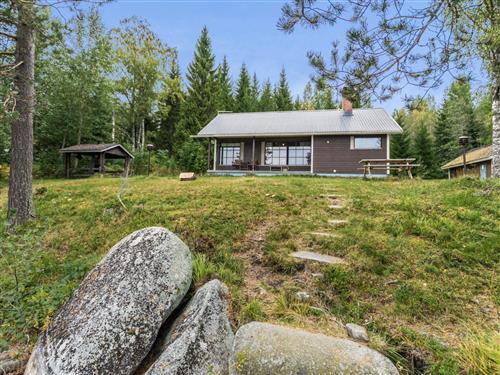 Ferienhaus - 6 Personen -  - Petäjävesi - 41900