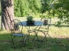 Bild 19