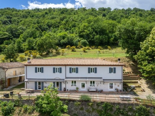 Fritidshus - 6 personer -  - 50032 - Borgo San Lorenzo