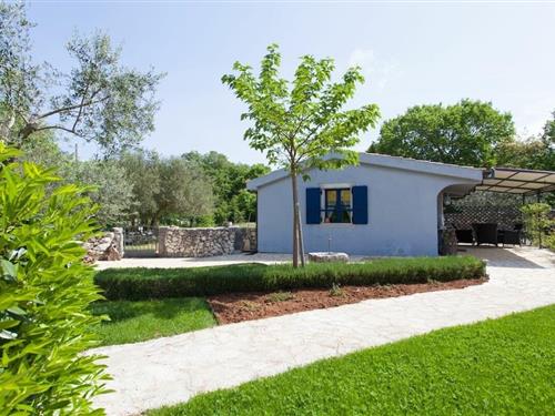 Holiday home - 2 persons -  - 51514 - Dobrinj